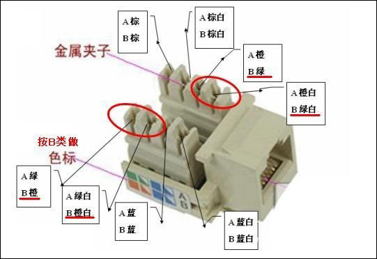 网线插座