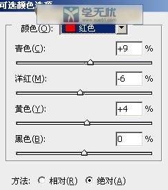 红色参数