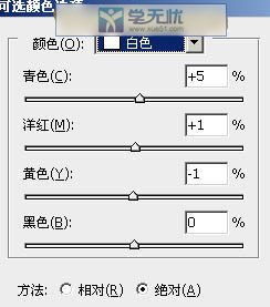 白色参数