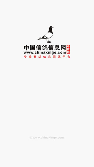 中国信鸽信息网官方版app
