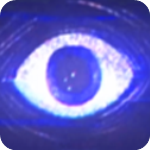 波比的游戏时间5