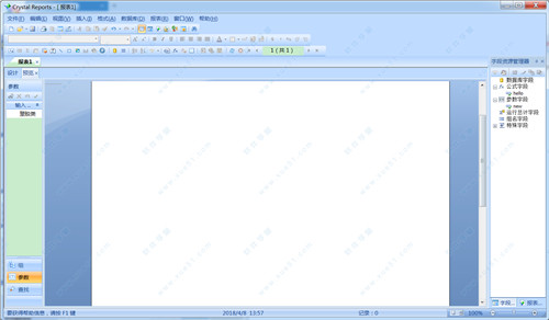 Crystal Reports2008