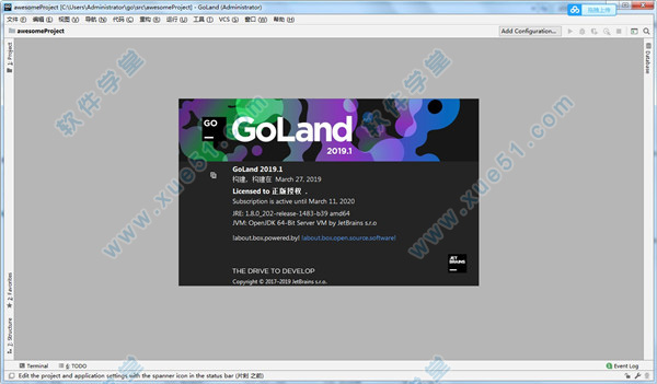 Jetbrains GoLand 2019中文破解版