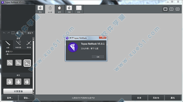 topaz remask 5.0.1中文汉化版