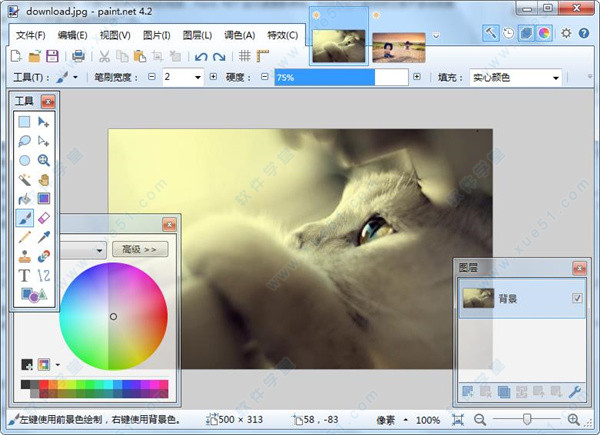 Paint.NET 2019中文免费版