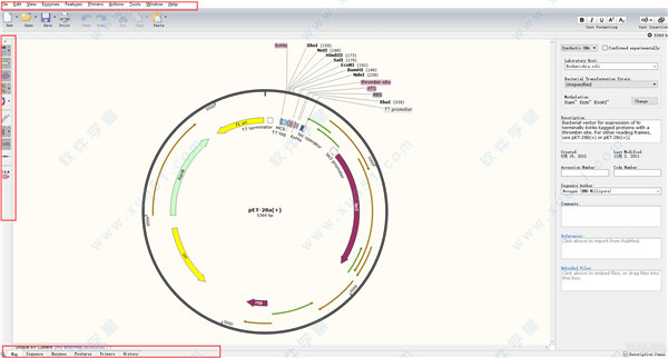 snapgene(分子生物学软件) v4.1.9破解版