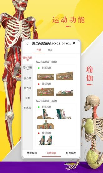 3Dbody解剖app手机版