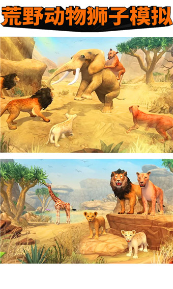 荒野动物狮子模拟安卓版